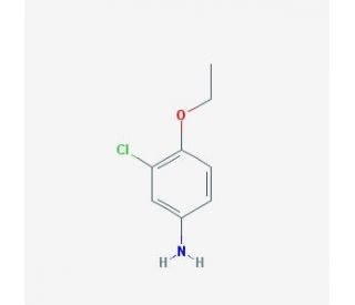 3-chloro-4-ethoxyaniline (CAS 5211-02-9) - chemical structure image