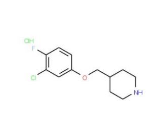 3-Chloro-4-fluorophenyl 4-piperidinylmethyl ether hydrochloride - chemical structure image