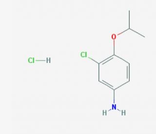 3-chloro-4-isopropoxyaniline hydrochloride (CAS 35594-48-0) - chemical structure image