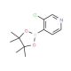 3-Chloro-4-pyridineboronic acid pinacol ester (CAS 458532-90-6) - chemical structure image