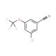 3-Chloro-5-(trifluoromethoxy)benzonitrile - chemical structure image