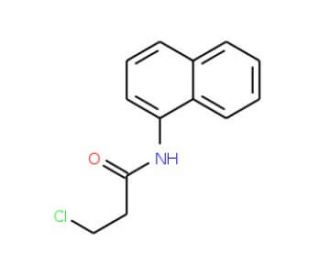 3-chloro-N-1-naphthylpropanamide (CAS 22302-59-6) - chemical structure image