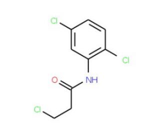 3-chloro-N-(2,5-dichlorophenyl)propanamide - chemical structure image