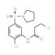 3-chloro-N-[2-chloro-5-(pyrrolidin-1-ylsulfonyl)phenyl]propanamide - chemical structure image