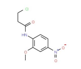 3-chloro-N-(2-methoxy-4-nitrophenyl)propanamide - chemical structure image