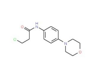3-chloro-N-(4-morpholin-4-ylphenyl)propanamide (CAS 250714-83-1) - chemical structure image