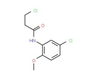 3-chloro-N-(5-chloro-2-methoxyphenyl)propanamide (CAS 346726-62-3) - chemical structure image
