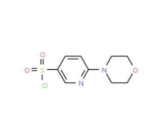 3-(Chlorosulphonyl)-6-(morpholin-4-yl)pyridine (CAS 337508-68-6) - chemical structure image