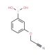 3-Cyanomethoxyphenylboronic acid (CAS 947533-25-7) - chemical structure image