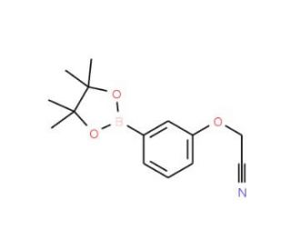 3-Cyanomethoxyphenylboronic acid, pinacol ester (CAS 936250-18-9) - chemical structure image