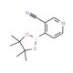 3-Cyanopyridine-4-boronic acid pinacol ester (CAS 878194-92-4) - chemical structure image