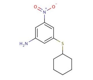 3-(Cyclohexylthio)-5-nitroaniline - chemical structure image