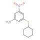 3-(Cyclohexylthio)-5-nitroaniline - chemical structure image