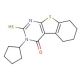 3-Cyclopentyl-2-mercapto-5,6,7,8-tetrahydro-3H-benzo[4,5]thieno[2,3-d]pyrimidin-4-one - chemical structure image