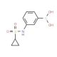 3-(Cyclopropanesulfonamido)phenylboronic acid (CAS 1072945-67-5) - chemical structure image