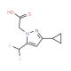 (3-Cyclopropyl-5-difluoromethyl-pyrazol-1-yl)-acetic acid - chemical structure image