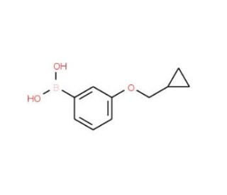 3-(Cyclopropylmethoxy)phenylboronic acid (CAS 411229-76-0) - chemical structure image