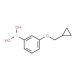 3-(Cyclopropylmethoxy)phenylboronic acid (CAS 411229-76-0) - chemical structure image