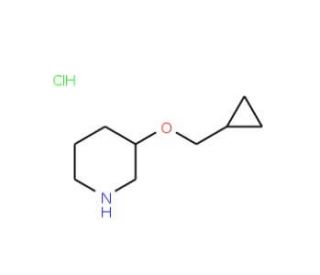 3-(Cyclopropylmethoxy)piperidine hydrochloride - chemical structure image