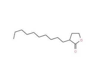 3-Decyldihydro-2(3H)-furanone (CAS 2983-19-9) - chemical structure image