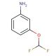 3-(Difluoromethoxy)aniline (CAS 22236-08-4) - chemical structure image