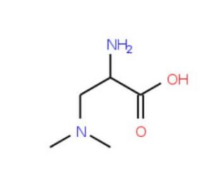 3-(Dimethylamino)-D-alanine (CAS 206559-98-0) - chemical structure image