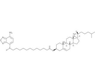 3-dodecanoyl-NBD Cholesterol (CAS 1246303-05-8) - chemical structure image