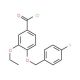 3-ethoxy-4-[(4-fluorobenzyl)oxy]benzoyl chloride - chemical structure image