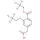 3-Ethoxy-4-(ethoxycarbonyl)-phenyl Acetic Acid-d10 - chemical structure image