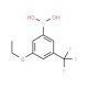 3-Ethoxy-5-(trifluoromethyl)benzeneboronic acid (CAS 871332-96-6) - chemical structure image