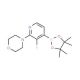 3-Fluoro-2-(4-morpholino)pyridine-4-boronic acid pinacol ester (CAS 957198-29-7) - chemical structure image