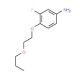 3-Fluoro-4-(2-propoxyethoxy)aniline - chemical structure image