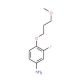 3-Fluoro-4-(3-methoxypropoxy)phenylamine - chemical structure image