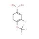 3-Fluoro-4-(trifluoromethoxy)benzeneboronic acid (CAS 187804-79-1) - chemical structure image