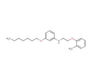 3-(Heptyloxy)-N-[2-(2-methylphenoxy)ethyl]aniline - chemical structure image