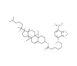 3-hexanoyl-NBD Cholesterol (CAS 201731-19-3) - chemical structure image
