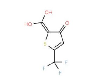 3-Hydroxy-5-trifluoromethylthiophene-2-carboxylic acid (CAS 217959-85-8) - chemical structure image