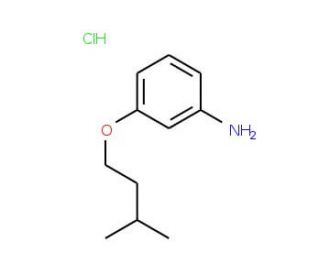 3-(Isopentyloxy)aniline hydrochloride - chemical structure image