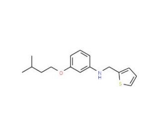 3-(Isopentyloxy)-N-(2-thienylmethyl)aniline - chemical structure image