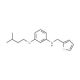 3-(Isopentyloxy)-N-(2-thienylmethyl)aniline - chemical structure image