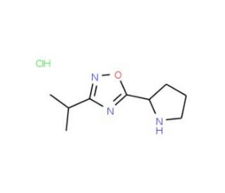 3-Isopropyl-5-pyrrolidin-2-yl-1,2,4-oxadiazolehydrochloride - chemical structure image
