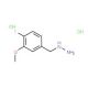 (3-Methoxy-4-fluorobenzyl)hydrazinedihydrochloride - chemical structure image