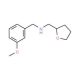 (3-Methoxy-benzyl)-(tetrahydro-furan-2-ylmethyl)-amine - chemical structure image