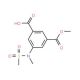 3-(Methoxycarbonyl)-5-[methyl(methylsulphonyl)amino]benzoic acid - chemical structure image