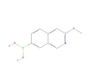 3-Methoxyisoquinoline-7-boronic acid (CAS 1645213-88-2) - chemical structure image