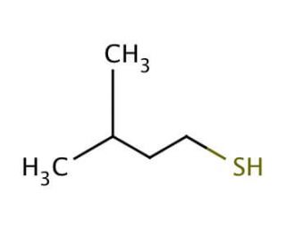 3-Methyl-1-butanethiol (CAS 541-31-1) - chemical structure image