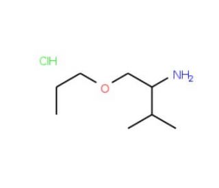 3-Methyl-1-propoxy-2-butanamine hydrochloride - chemical structure image