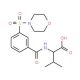 3-Methyl-2-[3-(morpholine-4-sulfonyl)-benzoylamino]-butyric acid - chemical structure image