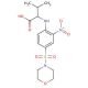 3-Methyl-2-[4-(morpholine-4-sulfonyl)-2-nitro-phenylamino]-butyric acid - chemical structure image