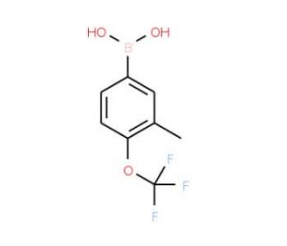 3-Methyl-4-trifluoromethoxyphenylboronic acid (CAS 871362-79-7) - chemical structure image